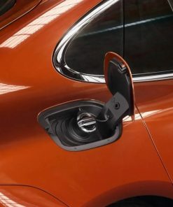 Everestbase.shop1bd5bf2bdc 2