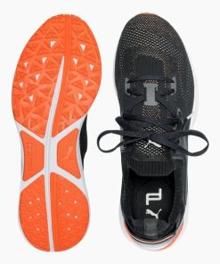 Everestbase.shop48ba0364f4 2