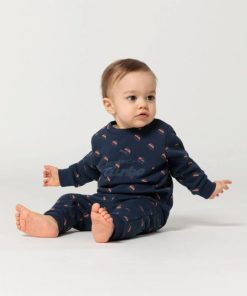 Everestbase.shop794836998a 3