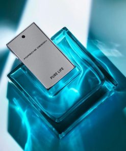 Everestbase.shop7cc698e463 3