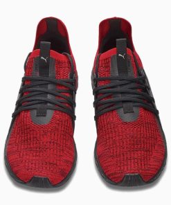 Everestbase.shop93cb18584b 2