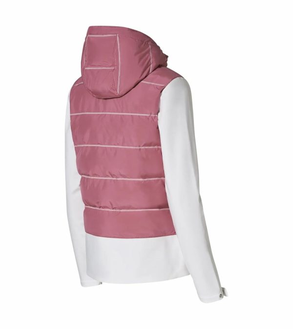 Everestbase.shopc40782cd83 2