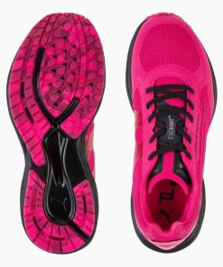 Everestbase.shopc9c04ccefc 2